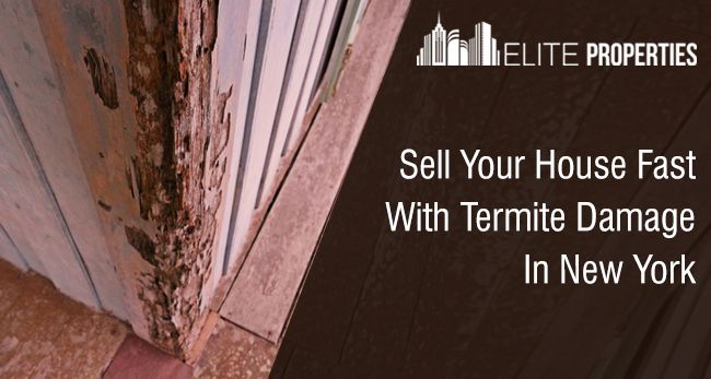 Can you sell a house shop with termites