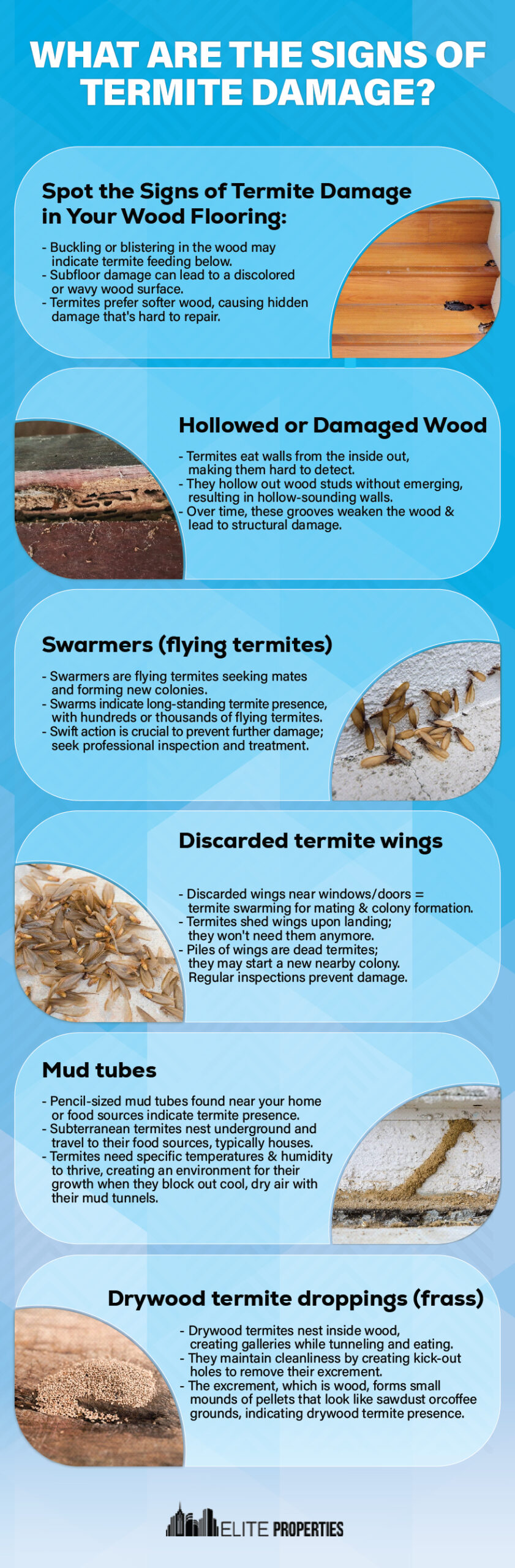 What are the signs of Termite damage