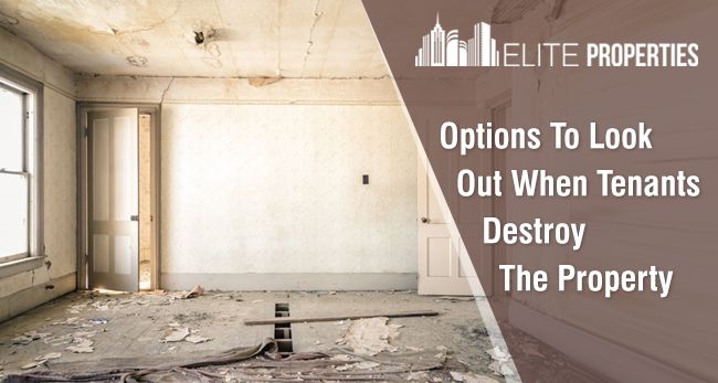 Options To Look Out When Tenants Destroy The Property